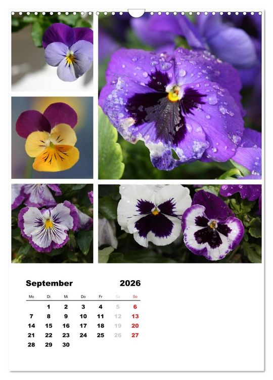 Produktbild: Bl&uuml;ten Collagen (Wandkalender 2026 DIN A3 hoch), CALVENDO Monatskalender