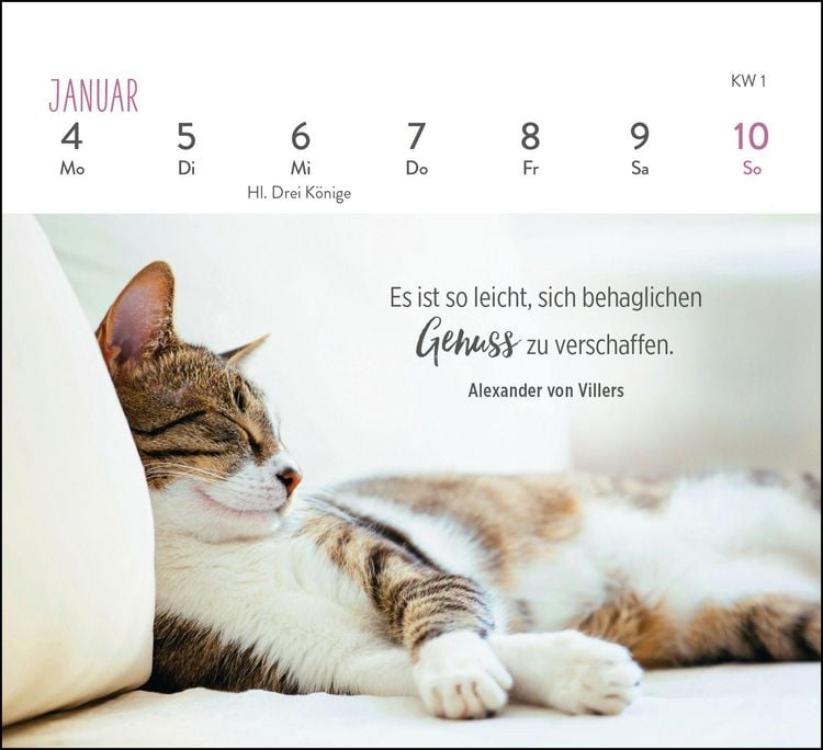 Produktbild: Mini-Wochenkalender 2027: F&uuml;r Katzenfreunde