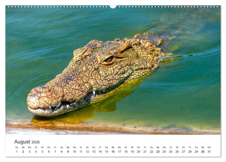 Produktbild: Reptilien - Tierische Farbenpracht (Wandkalender 2026 DIN A2 quer), CALVENDO Monatskalender