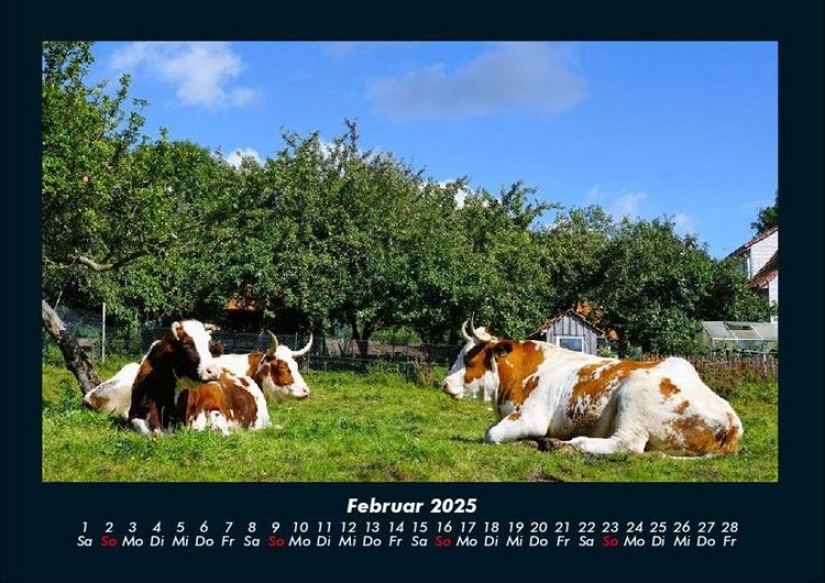 Produktbild: Tiere auf dem Bauernhof 2025 Fotokalender DIN A4
