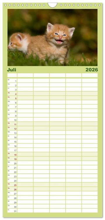 Produktbild: Familienplaner 2026 - L&auml;chelnd durchs Jahr - Katzenkinder -Familienplaner hoch mit 5 Spalten (Wandkalender, 21 x 45 cm) CALVENDO