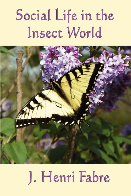 Produktbild: Social Life in the Insect World