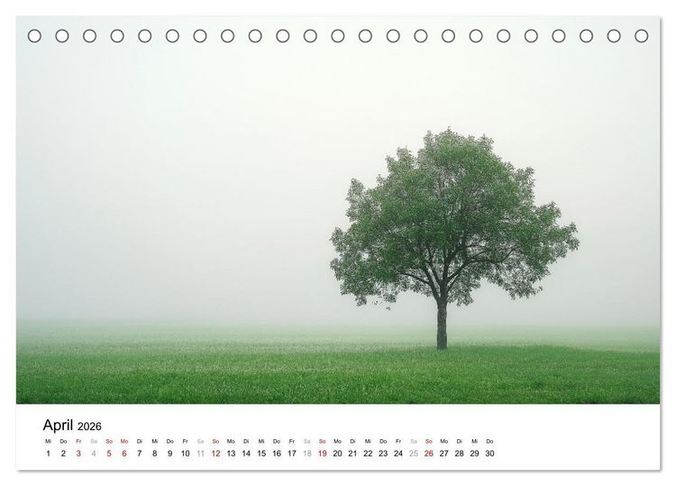 Produktbild: Minimalistische Naturmomente &ndash; Ruhe und Sch&ouml;nheit in der Natur (Tischkalender 2026 DIN A5 quer), CALVENDO Monatskalender