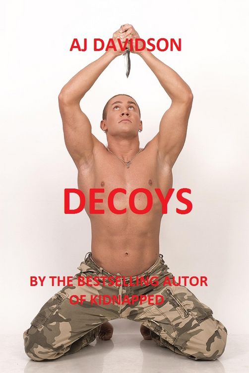 Produktbild: Decoys