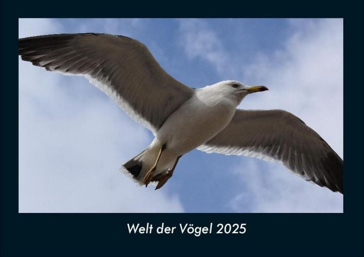 Produktbild: Welt der V&ouml;gel 2025 Fotokalender DIN A4