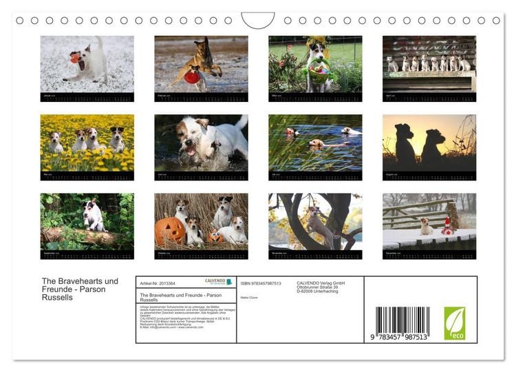 Produktbild: The Bravehearts und Freunde - Parson Russells (Wandkalender 2026 DIN A4 quer), CALVENDO Monatskalender