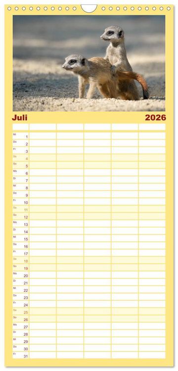 Produktbild: Familienplaner 2026 - Lustige Erdm&auml;nnchen mit 5 Spalten (Wandkalender, 21 x 45 cm) CALVENDO