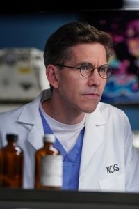 Produktbild: NCIS - Season 17 [5 DVDs]
