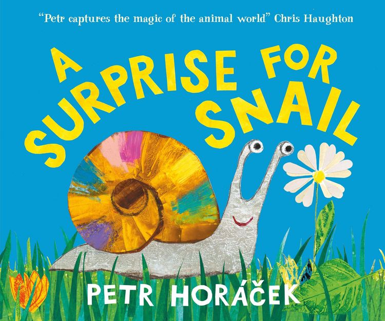 Produktbild: A Surprise for Snail