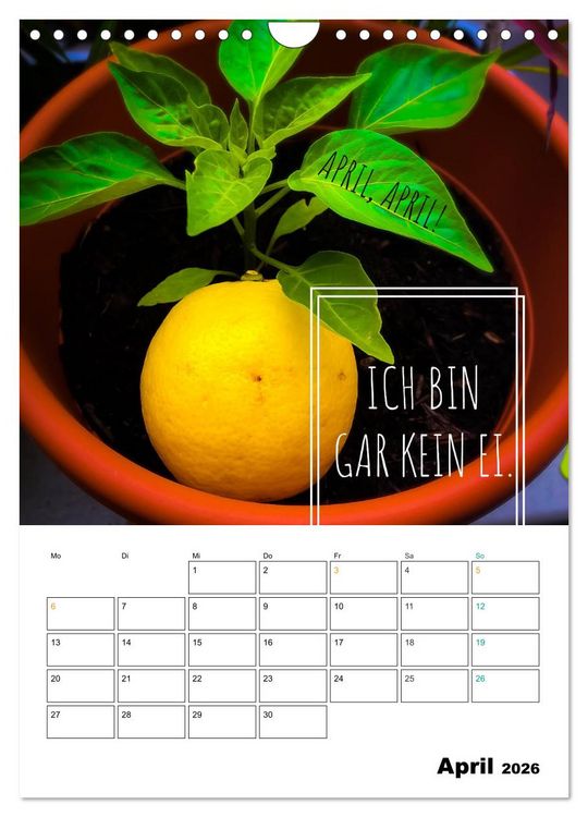 Produktbild: Mit Eiern durch's Jahr. (Wandkalender 2026 DIN A4 hoch), CALVENDO Monatskalender