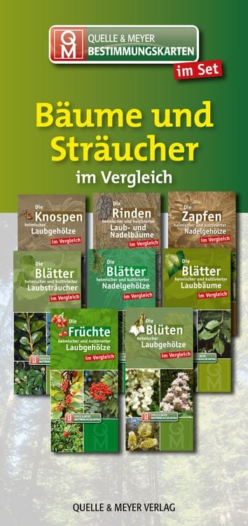 Produktbild: Bestimmungskarten-Set &bdquo;B&auml;ume und Str&auml;ucher&ldquo;