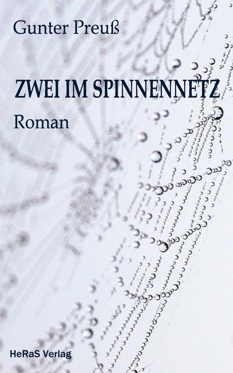 Produktbild: Zwei im Spinnennetz