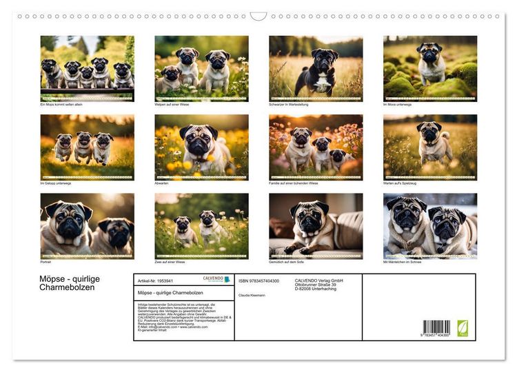 Produktbild: M&ouml;pse - quirlige Charmebolzen (Wandkalender 2026 DIN A2 quer), CALVENDO Monatskalender