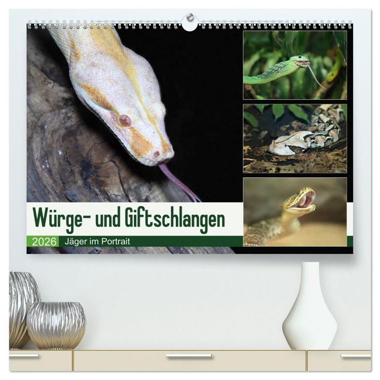 Produktbild: W&uuml;rge- und Giftschlangen (hochwertiger Premium Wandkalender 2026 DIN A2 quer), Kunstdruck in Hochglanz