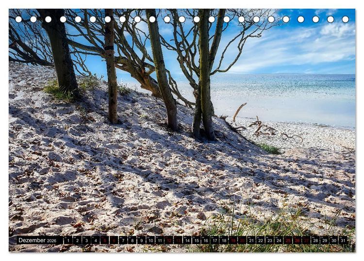 Produktbild: Fischland - Dar&szlig;- Zingst (Tischkalender 2026 DIN A5 quer), CALVENDO Monatskalender