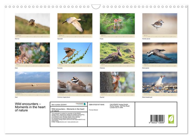 Produktbild: Wild encounters &ndash; Moments in the heart of nature (Wall Calendar 2026 DIN A3 landscape), CALVENDO 12 Month Wall Calendar