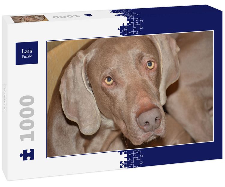 Produktbild: Lais Puzzle Weimaraner 1000 Teile