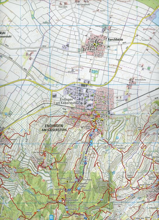 Produktbild: W246 Wanderkarte 1:25 000 Breisach am Rhein