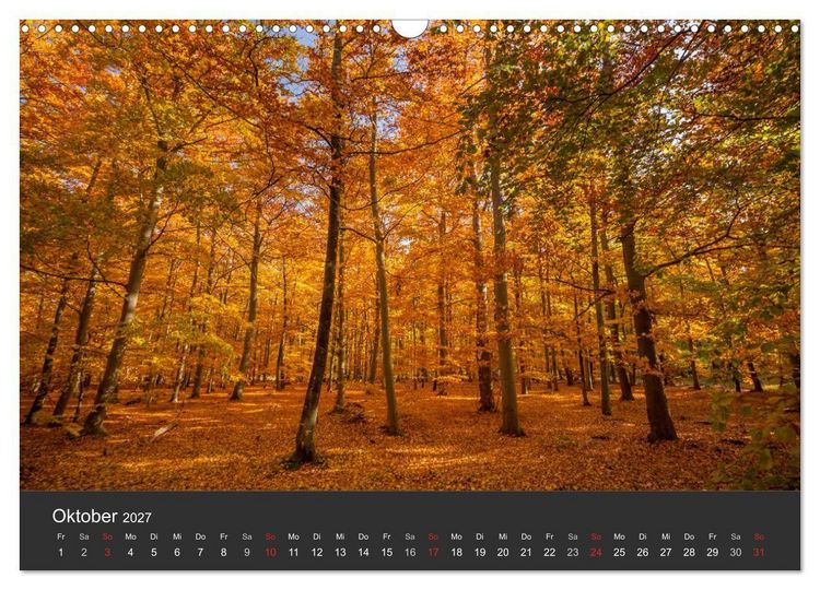Produktbild: Mecklenburg-Vorpommern (Wandkalender 2027 DIN A3 quer), CALVENDO Monatskalender