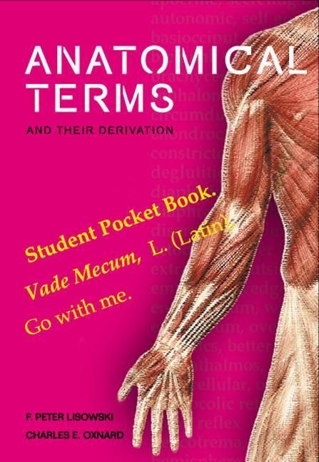 Produktbild: Anatomical Terms and Their Derivation