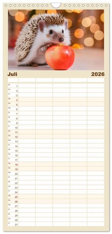 Produktbild: Familienplaner 2026 - Mein Igel-Kalender mit 5 Spalten (Wandkalender, 21 x 45 cm) CALVENDO