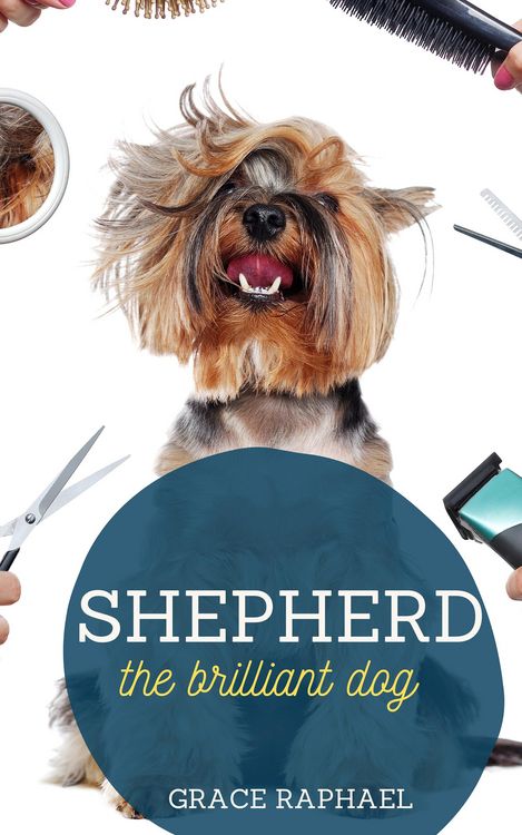 Produktbild: Shepherd