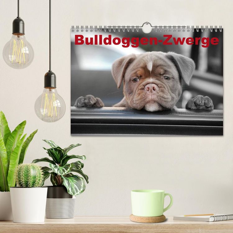 Produktbild: Bulldoggen-Zwerge (Wandkalender 2026 DIN A4 quer), CALVENDO Monatskalender
