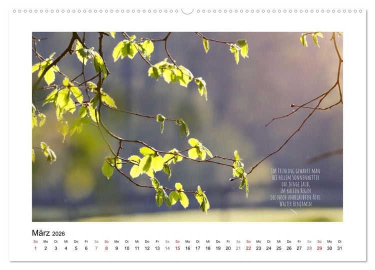 Produktbild: Bl&auml;tterreigen (Wandkalender 2026 DIN A2 quer), CALVENDO Monatskalender