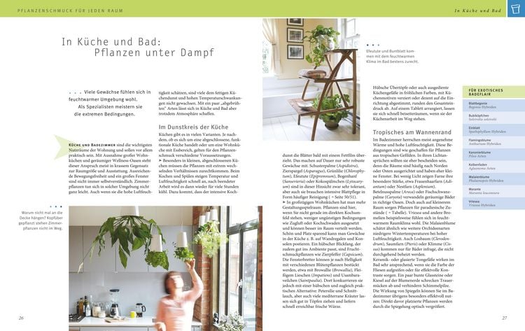 Produktbild: Zimmerpflanzen