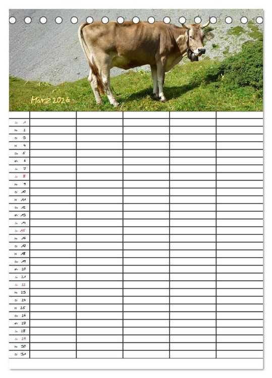 Produktbild: Bauernhoftiere Familienplaner (Tischkalender 2026 DIN A5 hoch), CALVENDO Monatskalender