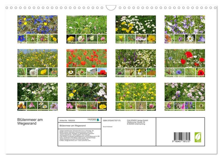 Produktbild: Bl&uuml;tenmeer am Wegesrand (Wandkalender 2026 DIN A3 quer), CALVENDO Monatskalender