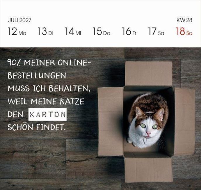 Produktbild: Katzen 2027