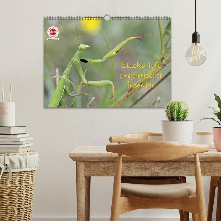 Produktbild: GEOclick Lernkalender: Insekten (Wandkalender 2026 DIN A3 quer), CALVENDO Monatskalender