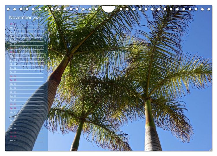 Produktbild: Fuerteventura in Ruhe (Wandkalender 2026 DIN A4 quer), CALVENDO Monatskalender