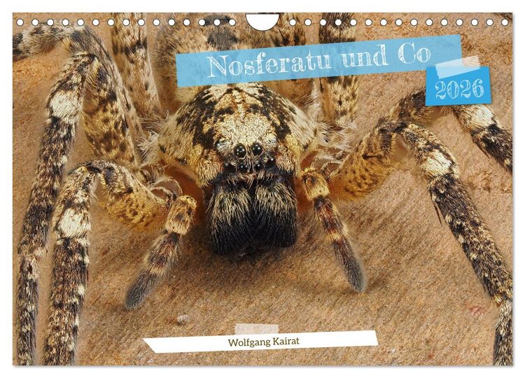 Produktbild: Nosferatu und Co. (Wandkalender 2026 DIN A4 quer), CALVENDO Monatskalender