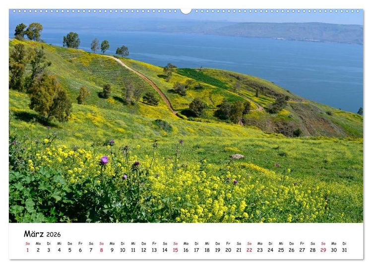 Produktbild: Traumziel Israel (hochwertiger Premium Wandkalender 2026 DIN A2 quer), Kunstdruck in Hochglanz
