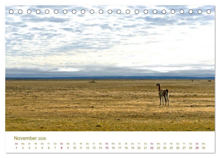 Produktbild: Weites Argentinien (Tischkalender 2026 DIN A5 quer), CALVENDO Monatskalender