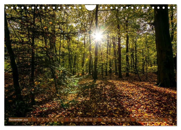 Produktbild: Moin Moormerland (Wandkalender 2026 DIN A4 quer), CALVENDO Monatskalender