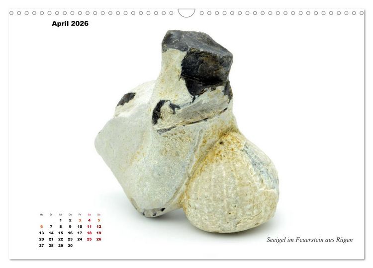 Produktbild: Fossilien - Ammoniten, Trilobiten, Erdgeschichte (Wandkalender 2026 DIN A3 quer), CALVENDO Monatskalender