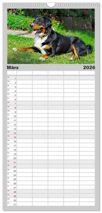 Produktbild: Familienplaner 2026 - Schweizer Sennenhunde - aus den Schweizer Alpen mit 5 Spalten (Wandkalender, 21 x 45 cm) CALVENDO