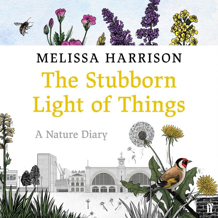 Produktbild: The Stubborn Light of Things