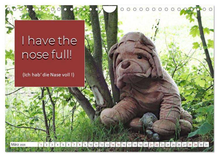 Produktbild: DENGLISCH gesagt ... (Wandkalender 2026 DIN A4 quer), CALVENDO Monatskalender