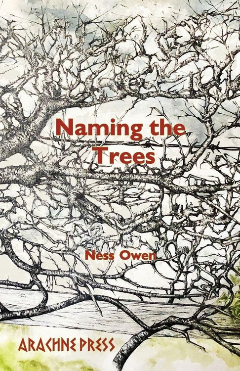 Produktbild: Naming The Trees