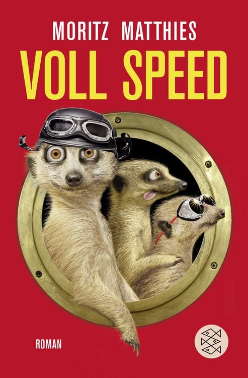 Bild vom Artikel Voll Speed / Ray & Rufus Bd. 2 vom Autor Moritz Matthies