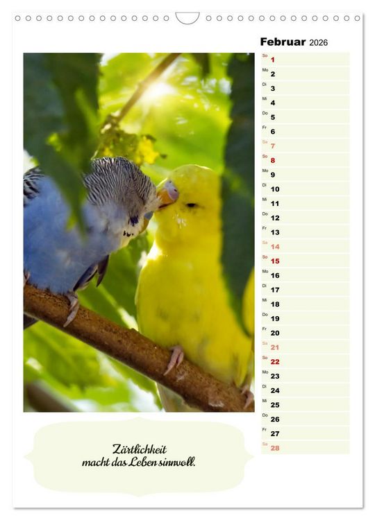 Produktbild: Niedliche Wellensittiche (Wandkalender 2026 DIN A3 hoch), CALVENDO Monatskalender
