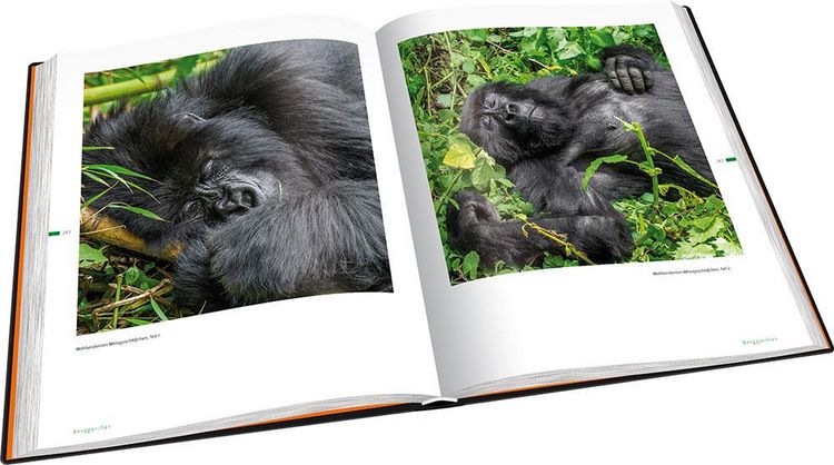Produktbild: Perle Afrikas