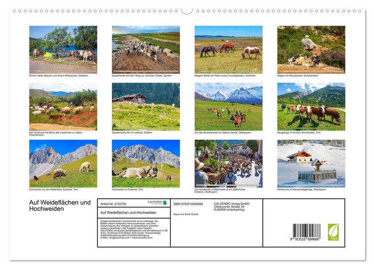Produktbild: Auf Weidefl&auml;chen und Hochweiden (hochwertiger Premium Wandkalender 2026 DIN A2 quer), Kunstdruck in Hochglanz