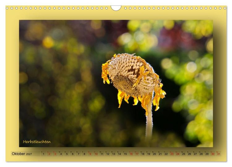 Produktbild: Foto-Art-Natur (Wandkalender 2027 DIN A3 quer), CALVENDO Monatskalender