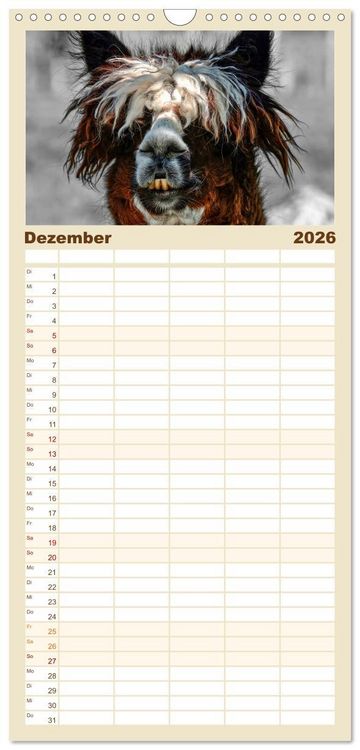 Produktbild: Familienplaner 2026 - Alpaka Gesichter mit 5 Spalten (Wandkalender, 21 x 45 cm) CALVENDO