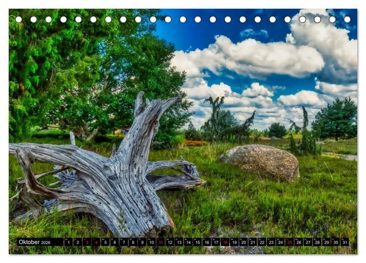 Produktbild: Der Findlingspark in der Lausitz (Tischkalender 2026 DIN A5 quer), CALVENDO Monatskalender